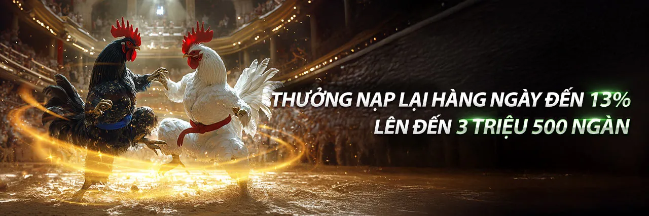 Đá gà trực tuyến MCW67 Code